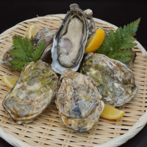 広島県産の魅惑的な牡蠣：贅沢な味わいと美しい風景をご自宅で│ぐる～めん広島