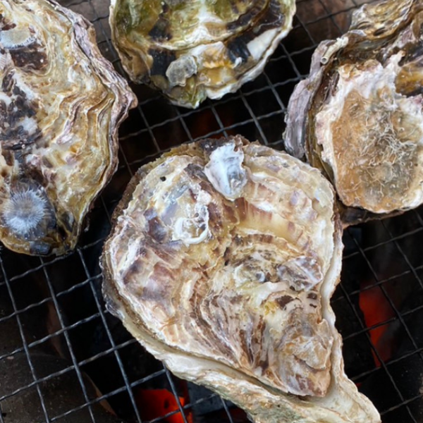 鮮度抜群！牡蠣生産量全国ナンバー1「広島」のぶちうまい生食用の牡蠣が購入できる通販サイトは｜ぐる～めん広島