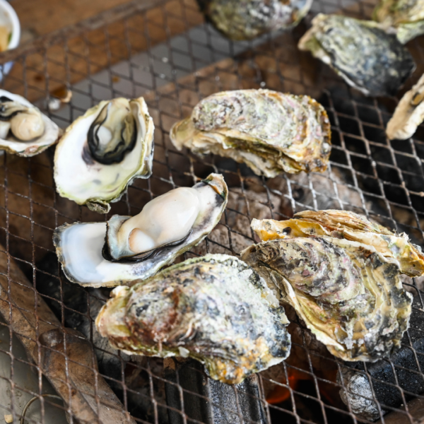 広島牡蠣の旬はもうすぐ！広島で唯一無二のぶちうまい牡蠣「美牡蠣」が買えるのはココだけ！11月から生食用牡蠣がご自宅で楽しめる！｜ぐる～めん広島