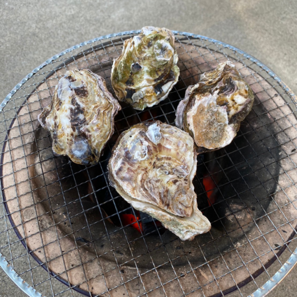 安芸津の冬を彩る！東広島発の牡蠣で満たされる至福のひととき🍲🌅｜広島のぶちうまいグルメをお届けする「ぐる～めん広島」