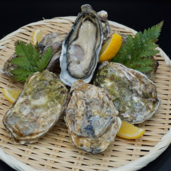 秘密の美味しい発見！安芸津の美牡蠣と広島グルメの旅｜広島のぶちうまいを全国にお届け「ぐる～めん広島」