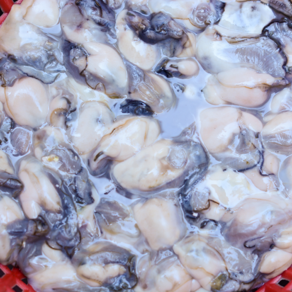 牡蠣といえば、、安芸津の牡蠣、広島の冬の味覚を堪能しよう🦪✨＊｜広島のぶちうまいグルメをお届けする「ぐる～めん広島」