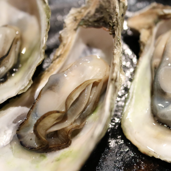 広島の特産物、安芸津の有名な身がプリプリ、牡蠣の魅力がつまった『美牡蠣』🏞️｜広島のぶちうまいグルメをお届けする「ぐる～めん広島」
